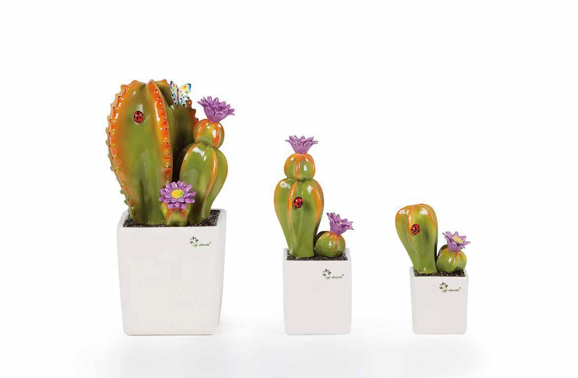 Piantine grasse cactus piccole per bomboniere